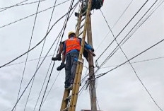 Petugas PLN Tersengat Listrik Saat Perbaikan Jaringan