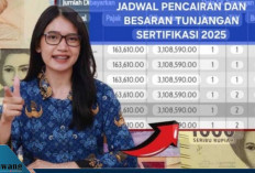 Kabar Gembira! Mulai 2026, Tunjangan Profesi Guru Cair Setiap Bulan: Mendikdasmen Pastikan Sistem Baru Siap Ja