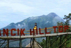 Gancik Hill Top: Destinasi Wisata Boyolali yang Bikin Serasa di Atas Awan!