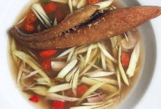 5 Kuliner Khas Banjarmasin yang Wajib Dicoba Saat Berkunjung 