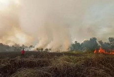 Hotspot di Sumsel Meningkat Tajam