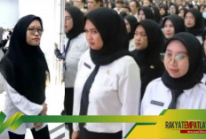 Prioritas Kelulusan Seleksi PPPK 2024 untuk Guru dan D-IV Bidan Pendidik