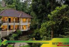20 Rekomendasi Hotel dan Villa di Daerah Puncak Bogor yang Wajib Kamu Kunjungi