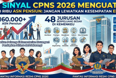 Sinyal CPNS 2026 Menguat! 160 Ribu ASN Pensiun, Ini 48 Jurusan yang Berpeluang Besar Lolos di Kemenkeu