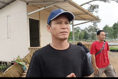 Resmi! Sulaila Bakal Dilantik Gantikan Almarhum Saukani