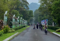 Ini Destinasi Wisata Populer di Purwodadi, Jawa Tengah yang Wajib Dikunjungi pada Tahun 2024