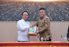 Palembang Bidik Opini WTP Lagi! BPK Siap Audit, Apa Tantangannya?