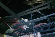 Si Jago Merah Kembali Beraksi di Empat Lawang, Satu Rumah Rusak Berat di Fajar Bakti