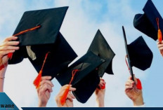 Beasiswa S2 Swedia 2025 Resmi Dibuka! Tanpa Wawancara & Tunjangan Rp21 Juta/Bulan, Ayo Daftar!