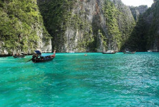Wisata Snorkeling dan Diving Kembali Dibuka di Phi Phi Islands, Terumbu Karang Mulai Pulih