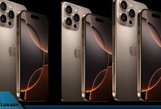 iPhone 16 Resmi Jadi HP Paling Laris di Dunia Awal 2025, Ini Daftar Lengkap dan Harga Terbarunya!