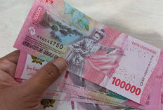 Lebih dari 600 Ribu Guru di Indonesia Siap Terima Tunjangan Profesi, Pencairan TPG Triwulan I Dimulai Mei 2025