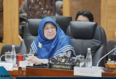 DPR RI Ingatkan Kemendikdasmen Awasi Ketat Penyaluran TPG Bulanan 2026, Jangan Sampai Mengendap di Daerah
