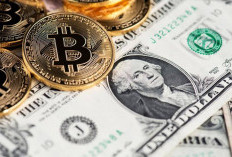 Dolar vs Bitcoin: Fakta Menarik yang Harus Anda Ketahui!