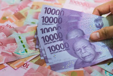 Tunjangan Sertifikasi PPPK Paruh Waktu Resmi Cair, Tapi Wajib Penuhi 8 Syarat Ketat!