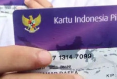 PIP 2025 Tahap 3 Resmi Cair November! Cek Nama Penerima dan Cara Klaim Bantuan di Sini