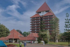 Fakta Mengejutkan! Ternyata Bukan Yogyakarta, Ini Provinsi dengan Perguruan Tinggi Terbanyak di Indonesia