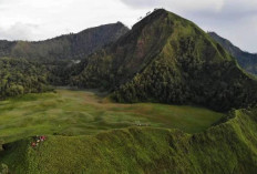 Bukit Savana Propok, Surga Tersembunyi di Kaki Rinjani yang Cocok untuk Liburan Alam