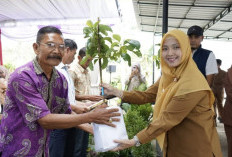 Pemkot Bagikan 12.700 Bibit Tanaman Naungan Kopi
