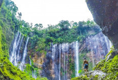 3 Air Terjun Tertinggi di Jawa Timur untuk Libur Lebaran 2025, Keindahannya Bikin Takjub!