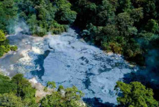 Wisata Geotermal Menarik di Garut: Taman Wisata Alam Kawah Kamojang