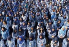 Terungkap! Ini Alasan Mengejutkan Ribuan CPNS 2024 Pilih Mengundurkan Diri