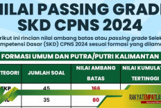 Cara Melihat Ranking SKD CPNS 2024, Cek Skor dan Jumlah Pesaingmu!