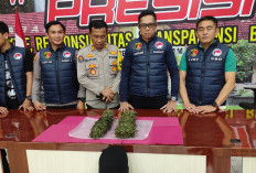Polres Pagar Alam Amankan Peredaran 1 Kg Ganja