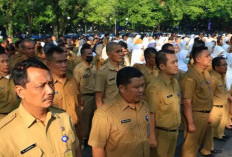 Ketentuan Pakaian Dinas PNS dan PPPK Terbaru 2025, Wajib Diketahui oleh CPNS dan PPPK 2024!