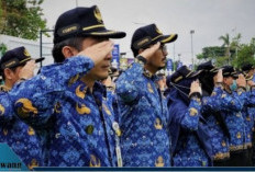 CPNS 2025: Usia 40 Tahun Bisa Daftar! Ini Syarat & Jabatan yang Tersedia