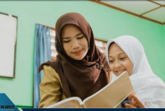 Terbaru! Ini 10 Provinsi dengan Jumlah Guru SD Paling Sedikit di Indonesia, Didominasi Wilayah Timur