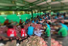 Desa Bukit Jaya Kurban 25 Sapi dan 11 Kambing