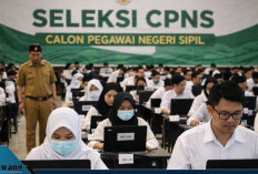SNBP & SNBT 2026 Dibuka! Ini 5 Jurusan Kuliah Paling Dibutuhkan di CPNS, Siswa Kelas 12 Wajib Tahu