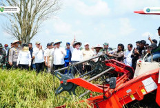 Herman Deru Pimpin Panen Raya Padi IP 200