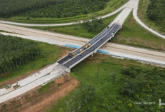 Dibuka Fungsional untuk Arus Balik