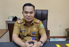 Usulkan 6.120 Formasi PPPK Paruh Waktu