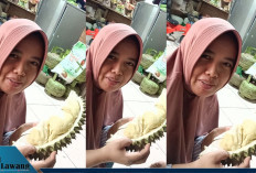 Apakah Durian Mengandung Kolesterol? Ini Penjelasan Lengkapnya