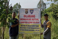 Himbau Jangan Membakar Lahan