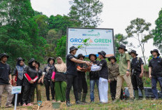 Perjuangan KTH Pabangbon Menghidupkan Kembali Hutan Malasari