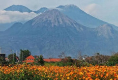 Menelisik Gunung Arjuno: Keindahan, Sejarah, dan Misteri yang Memikat