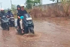 Jalan Lingkar Selatan Tergenang dan Berlubang