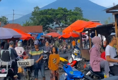 Harga Tomat Melambung, Cabe Turun