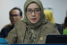 MenPAN RB Tegas: Tidak Ada Lagi Rekrutmen Non-ASN, Pengangkatan CPNS dan PPPK Dipercepat!