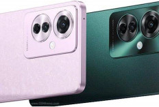 Oppo Reno11 F Hadir dengan Desain Elegan dan Performa Kencang di Kelas Menengah
