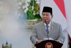 Presiden Prabowo Bentuk Komite Digital, Dorong Kepatuhan Pajak Lebih Tinggi