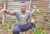 Sulap Pekarangan Jadi Kebun Sukun
