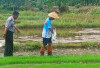 Bekali Warga Binaan Keterampilan Bertani