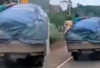 Viral! Aksi Bajing Loncat Tersangkut di Mobil L300, Tak Bisa Kabur Saat Melaju Kencang