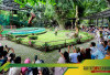 Belajar dan Bermain di Ibarbo Park Sleman: Kota Kartun Pertama di Jogja yang Penuh Edukasi!