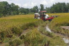 Siapkan Cetak Sawah Baru